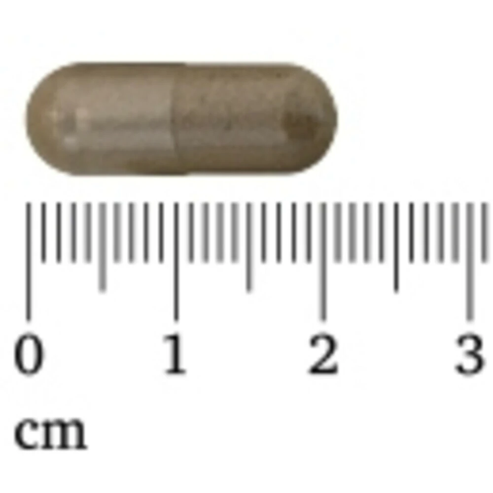 3x Lucovitaal Super Resveratrol 100 Mg 4 3x Lucovitaal Super Resveratrol 100 Mg - Afbeelding 2