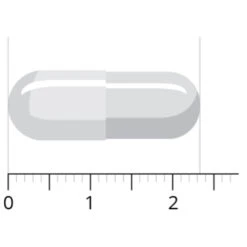 Vitals Acetyl-l-carnitine 500 Mg 9 Vitals Acetyl-l-carnitine 500 Mg -Gezondheidssupplementen Winkel 1023935 4