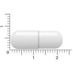 Vitakruid L-Tyrosine 500 11 Vitakruid L-Tyrosine 500 -Gezondheidssupplementen Winkel 1023992 5