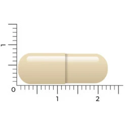 Vitakruid Geheugenformule -Gezondheidssupplementen Winkel 1023998 4