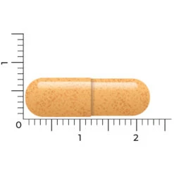 Vitakruid B-Complex Actief Zonder B6 -Gezondheidssupplementen Winkel 1024007 4