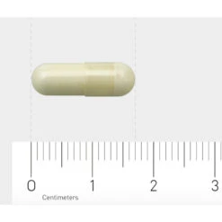 AOV 220 Pyridoxaal-5-fosfaat 9 AOV 220 Pyridoxaal-5-fosfaat -Gezondheidssupplementen Winkel 1029412 4