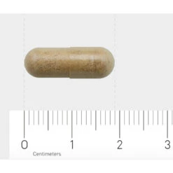 AOV 834 Bacopa (Brahmi) -Gezondheidssupplementen Winkel 1029469 4