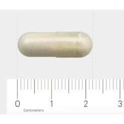 2x AOV 1132 Lactase -Gezondheidssupplementen Winkel 1029493 4 1