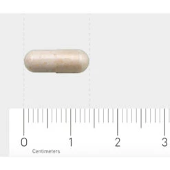 AOV 1201 Probiotica 4 Miljard -Gezondheidssupplementen Winkel 1029498 4