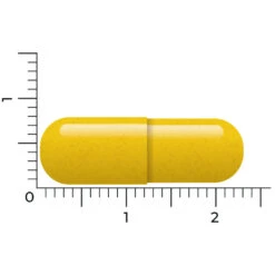 Vitakruid Berberine 500 Rebersa -Gezondheidssupplementen Winkel 1029807 4