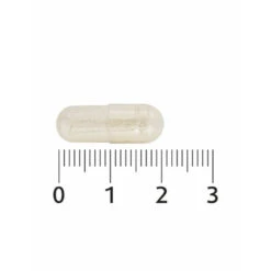 2x Lucovitaal Probiotica Vitamine & Mineralen Complex 9 2x Lucovitaal Probiotica Vitamine & Mineralen Complex -Gezondheidssupplementen Winkel 1040862 4