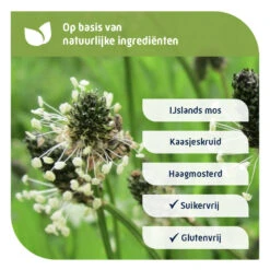 2x Natterman Direct Voor Alle Hoest Suikervrij -Gezondheidssupplementen Winkel 1041564 5