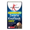 2x Lucovitaal Zwarte Knoflook Forte 1 2x Lucovitaal Zwarte Knoflook Forte -Gezondheidssupplementen Winkel 1049228