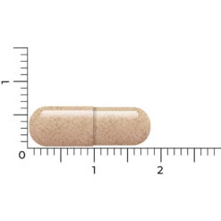 Vitakruid Lactoferrine 150 Mg -Gezondheidssupplementen Winkel 1054157 4