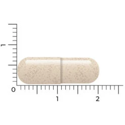 Vitakruid Ashwagandha Ksm -Gezondheidssupplementen Winkel 1057979 5