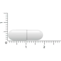 Vitakruid Lactase Optiferm 3000 Fcc 11 Vitakruid Lactase Optiferm 3000 Fcc -Gezondheidssupplementen Winkel 1058191 5