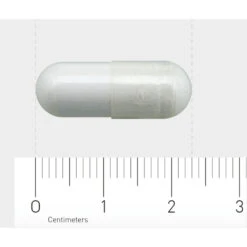 2x Orthica L-Tyrosine-500 9 2x Orthica L-Tyrosine-500 -Gezondheidssupplementen Winkel 706331 4