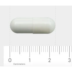 Orthica L-Glutamine-500 -Gezondheidssupplementen Winkel 709573 4