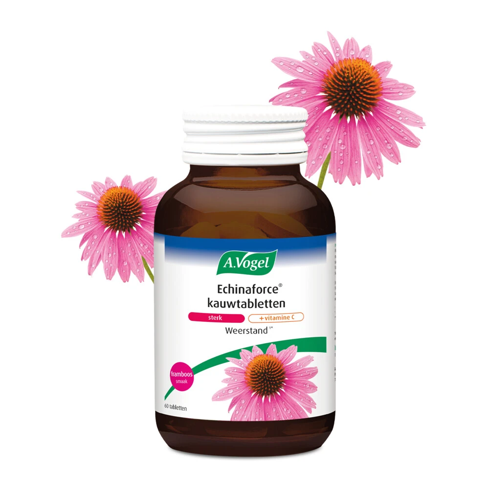 A.Vogel Echinaforce Sterk + Vitamine C 4 A.Vogel Echinaforce Sterk + Vitamine C - Afbeelding 2