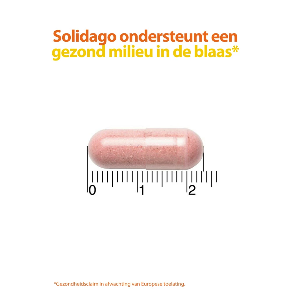 Roter Cystiberry 6 Roter Cystiberry - Afbeelding 4