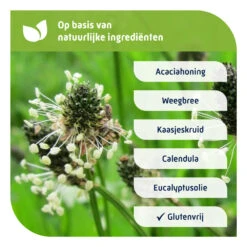 Natterman Voor Alle Hoest Hoestdrank -Gezondheidssupplementen Winkel 974964 4