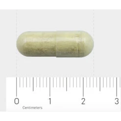 Orthica Orthisept Plus -Gezondheidssupplementen Winkel 975287 4