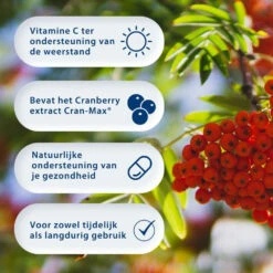 Blase Berry Cranberry & D-Mannose 9 Blase Berry Cranberry & D-Mannose -Gezondheidssupplementen Winkel 977754 4
