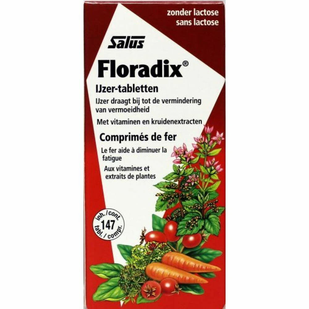 Floradix IJzer 3 Floradix IJzer