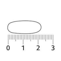 Lucovitaal Geheugen & Concentratie -Gezondheidssupplementen Winkel 997138 4